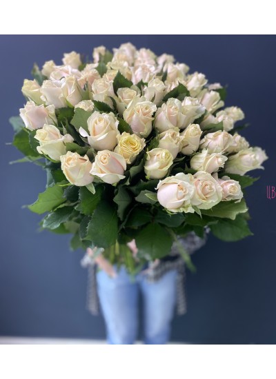 Букет из 51 кремовых роз (с лентой)